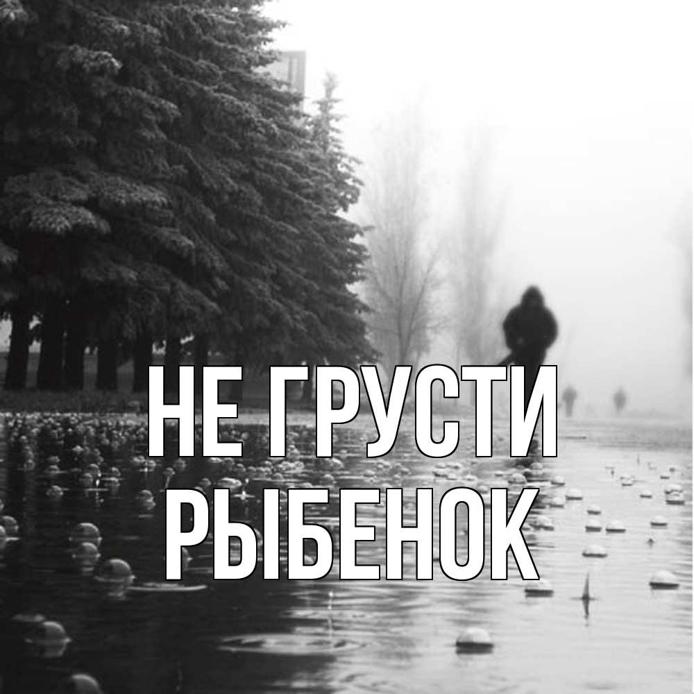 Открытка на каждый день с именем, Рыбенок Не грусти улица под дождем Прикольная открытка с пожеланием онлайн скачать бесплатно 
