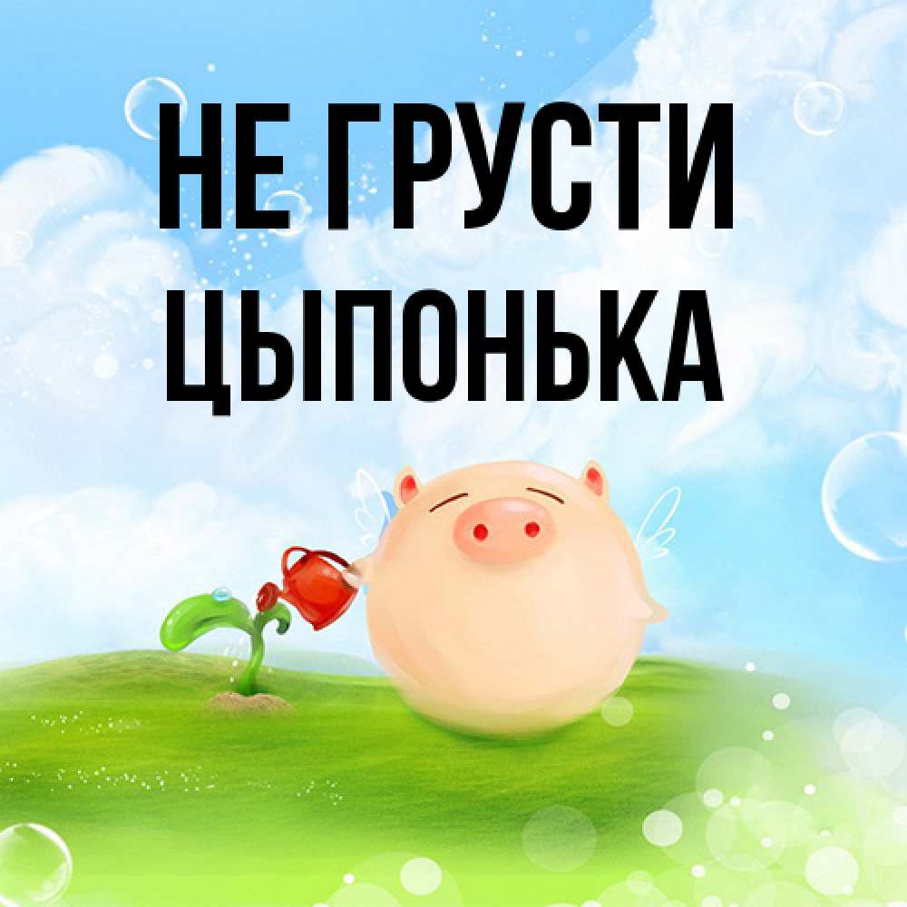 Открытка на каждый день с именем, Цыпонька Не грусти поливает цветок порося Прикольная открытка с пожеланием онлайн скачать бесплатно 