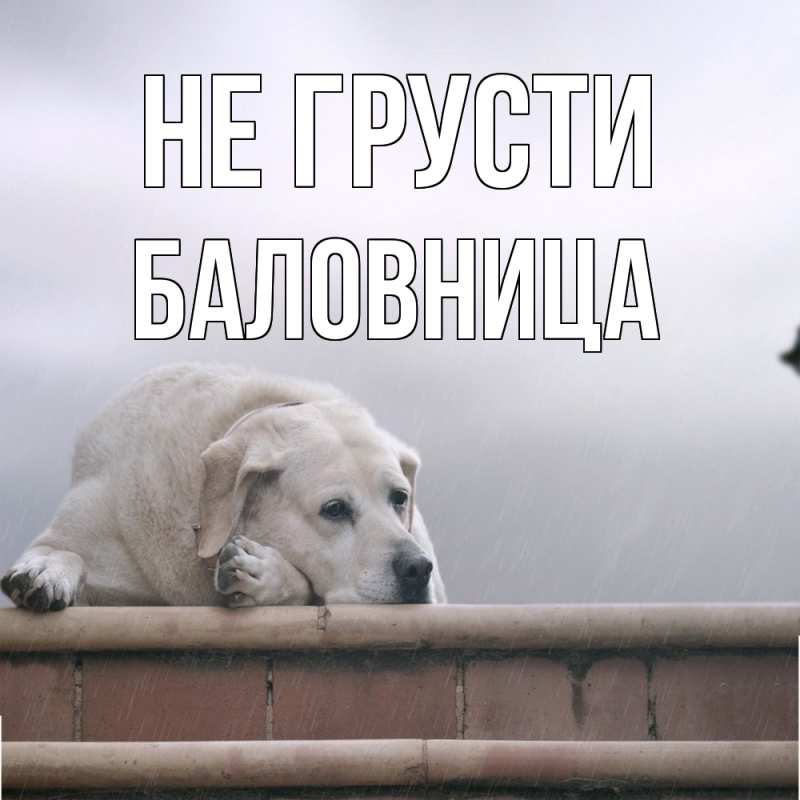 Открытка с именем, Баловница, Не грусти