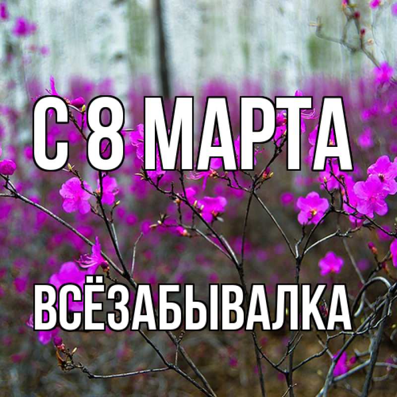 Картинка C 8 МАРТА, Всёзабывалка