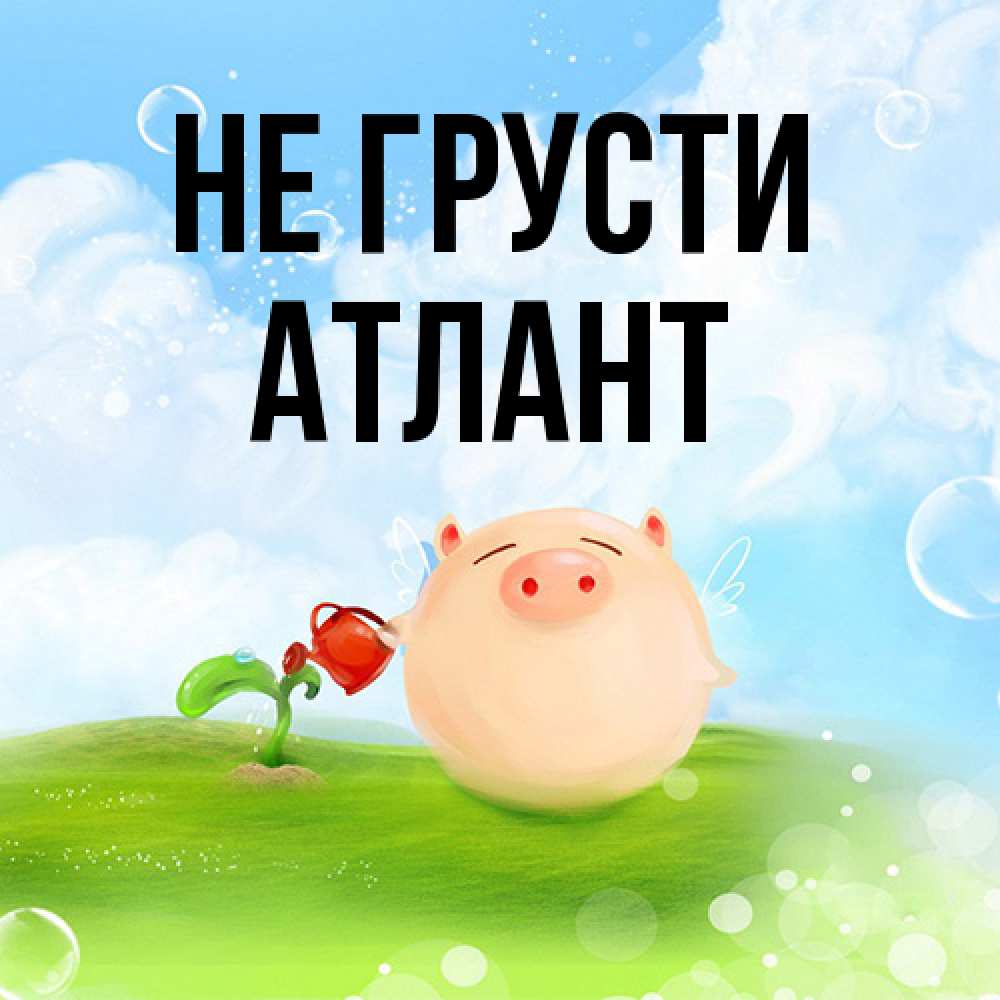 Открытка на каждый день с именем, Атлант Не грусти поливает цветок порося Прикольная открытка с пожеланием онлайн скачать бесплатно 