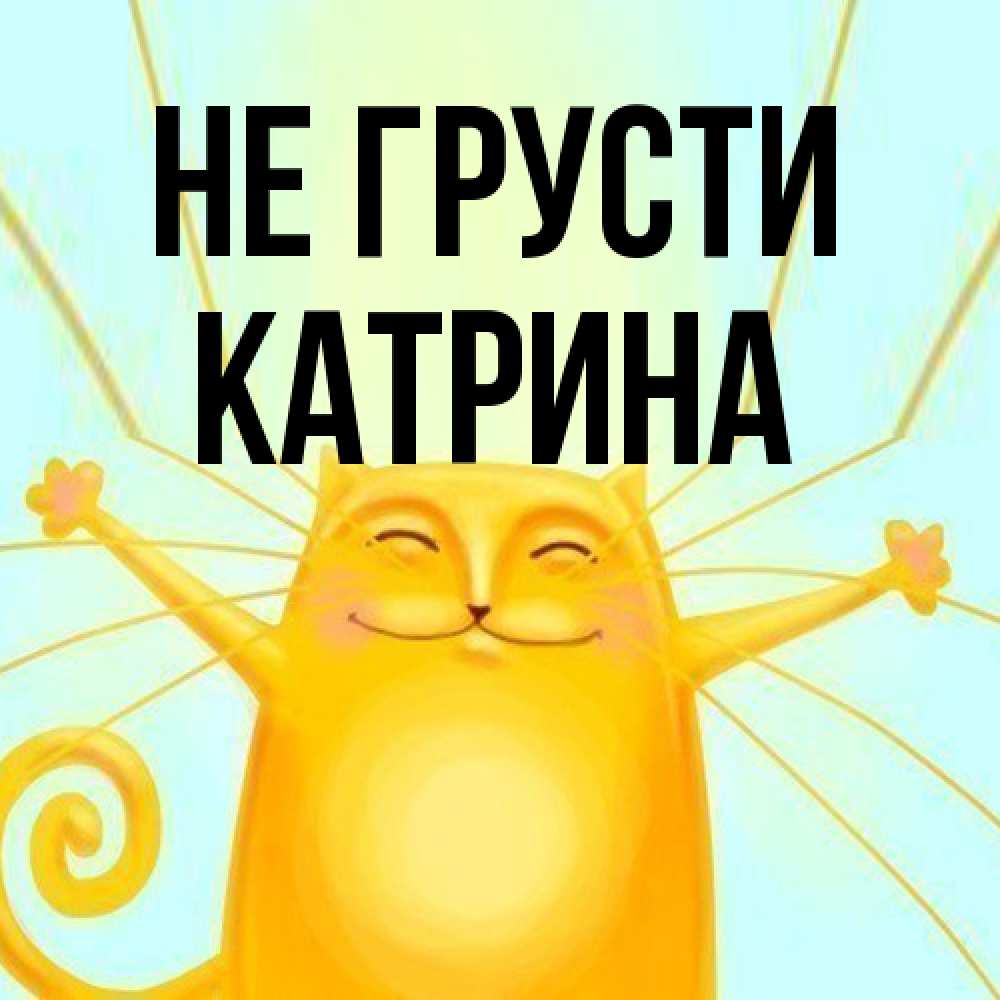 Открытка на каждый день с именем, Катрина Не грусти обнимашки усатые Прикольная открытка с пожеланием онлайн скачать бесплатно 