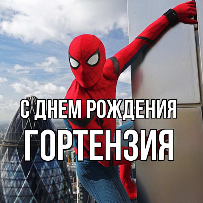 Картинка С днем рождения, Гортензия