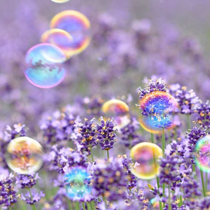 Картинка C 8 МАРТА, Равиль