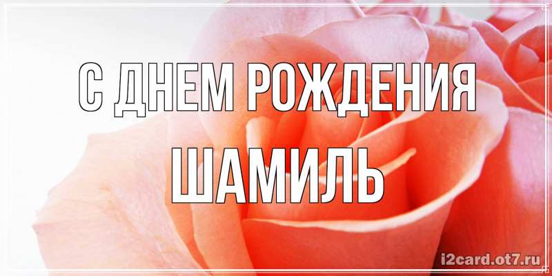 Картинка С днем рождения, Шамиль