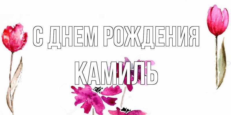 Картинка С днем рождения, Камиль