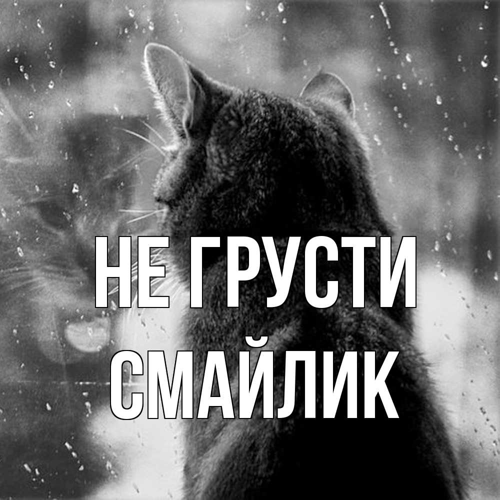 Открытка на каждый день с именем, Смайлик Не грусти отражение кота 1 Прикольная открытка с пожеланием онлайн скачать бесплатно 