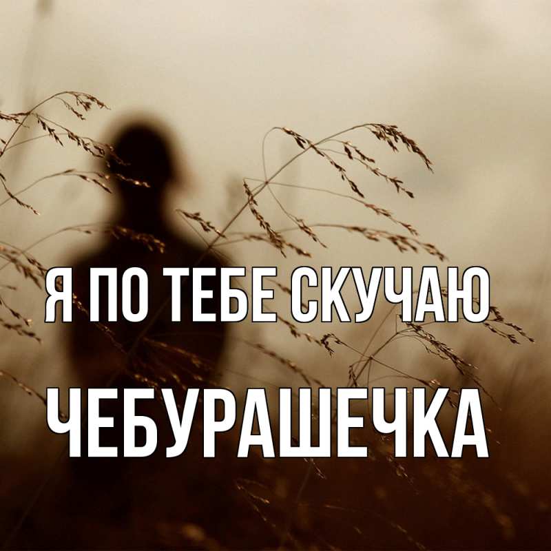 Картинка Я по тебе скучаю, Чебурашечка