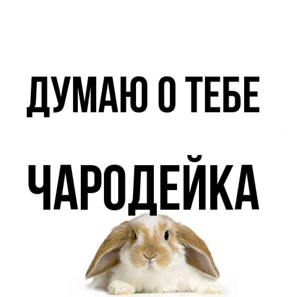 Открытка на каждый день с именем, Чаpодейка Думаю о тебе подписать своими руками онлайн Прикольная открытка с пожеланием онлайн скачать бесплатно 
