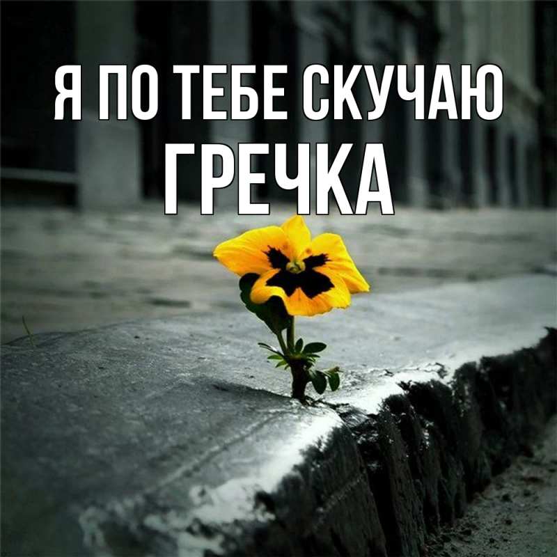 Картинка Я по тебе скучаю, Гречка