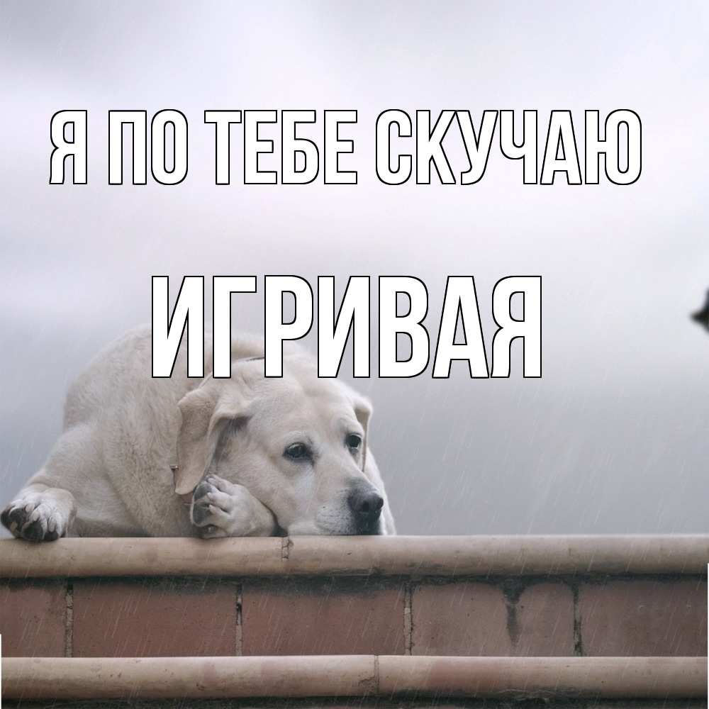 Открытка на каждый день с именем, игривая Я по тебе скучаю ждет Прикольная открытка с пожеланием онлайн скачать бесплатно 