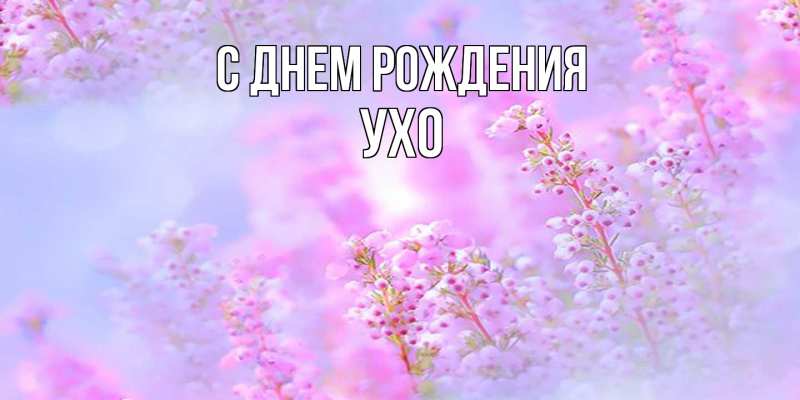 Картинка С днем рождения, Ухо