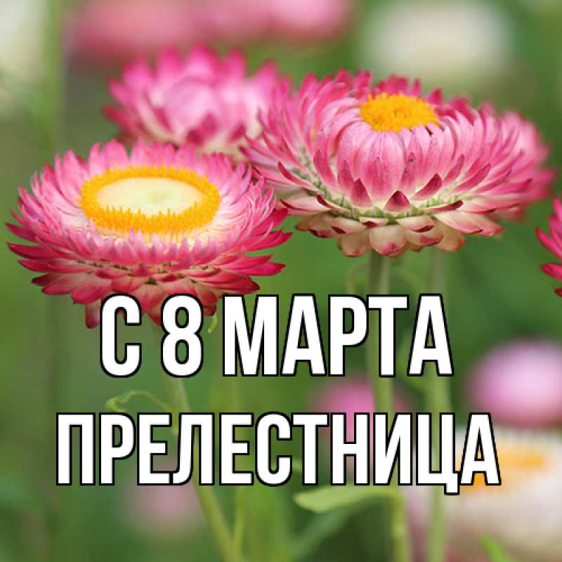 Картинка C 8 МАРТА, Прелестница