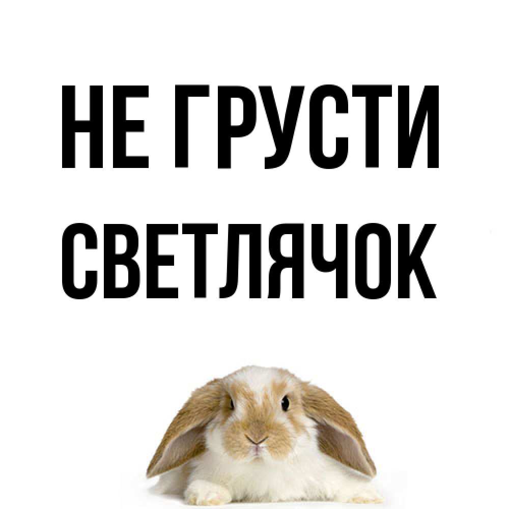 Открытка на каждый день с именем, Светлячок Не грусти коричнево белый заяц с большими ушками Прикольная открытка с пожеланием онлайн скачать бесплатно 