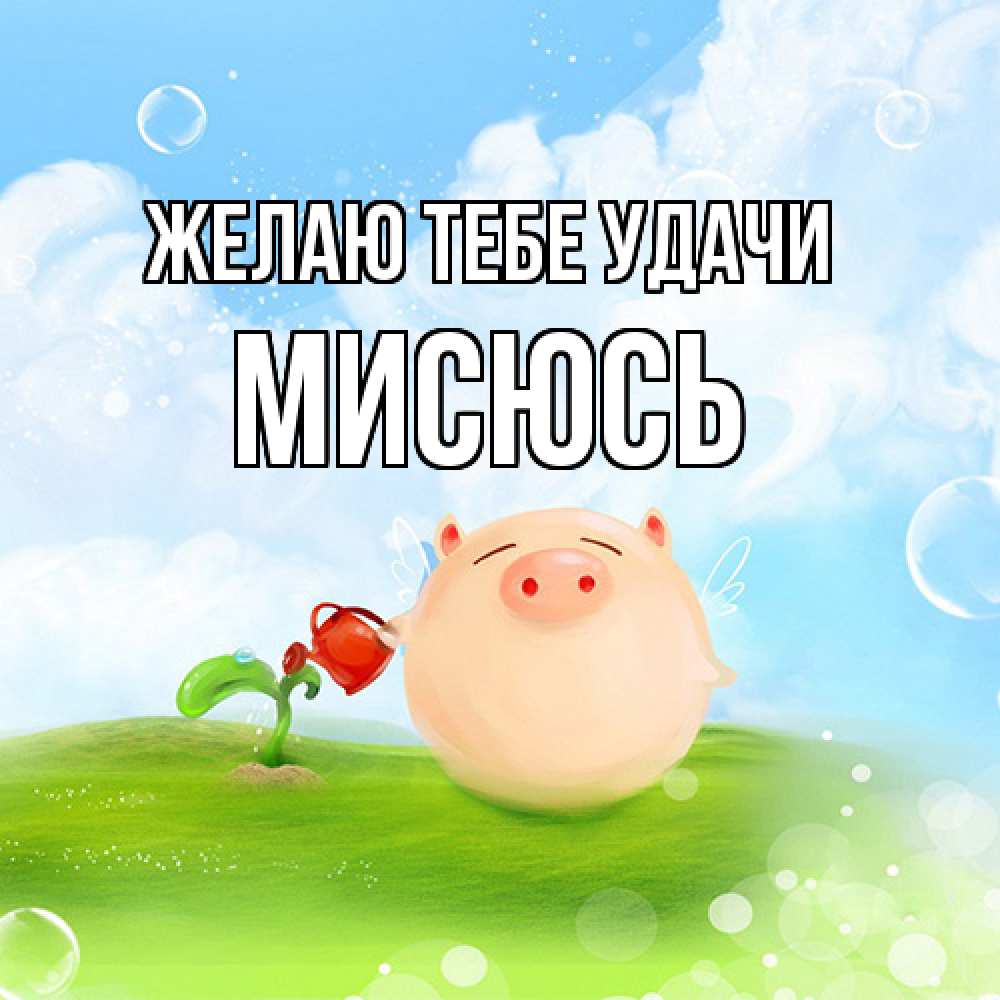 Открытка на каждый день с именем, мисюсь Желаю тебе удачи поросенок поливает цветок. летнее настроение Прикольная открытка с пожеланием онлайн скачать бесплатно 