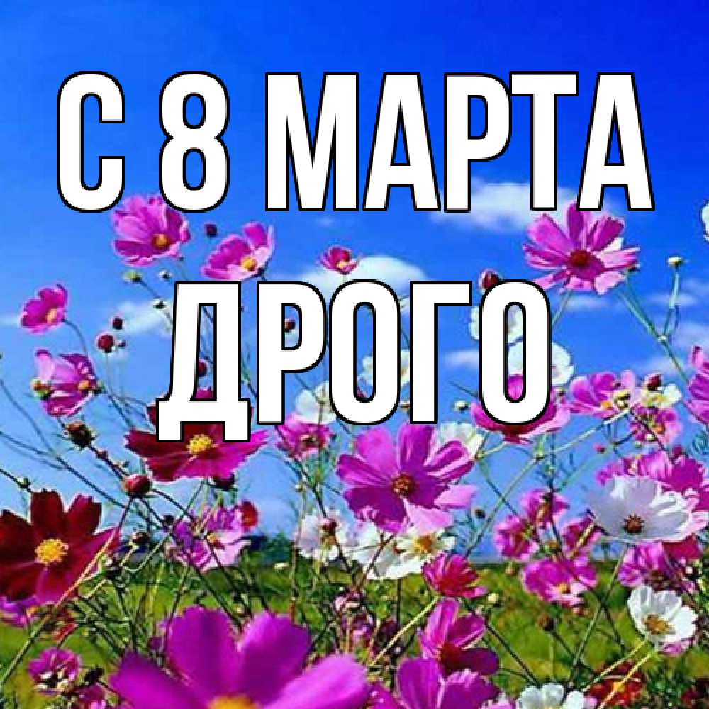 Открытка на каждый день с именем, Дрого C 8 МАРТА цветы Прикольная открытка с пожеланием онлайн скачать бесплатно 