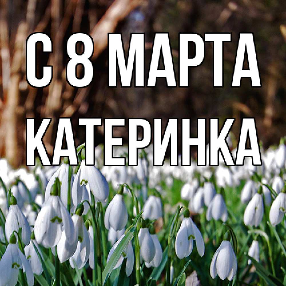 Открытка на каждый день с именем, Катеринка C 8 МАРТА с подснежниками 1 Прикольная открытка с пожеланием онлайн скачать бесплатно 