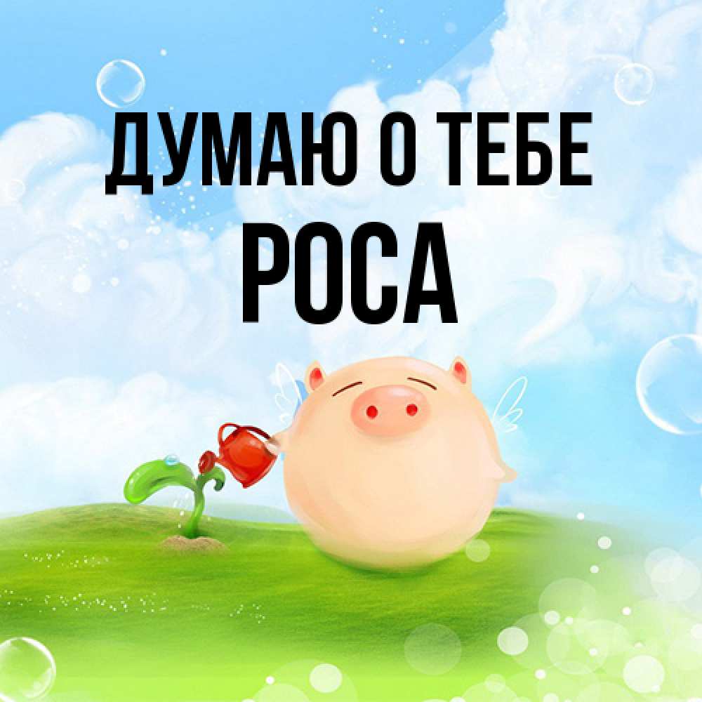 Открытка на каждый день с именем, Роса Думаю о тебе позитивная свинюшка Прикольная открытка с пожеланием онлайн скачать бесплатно 