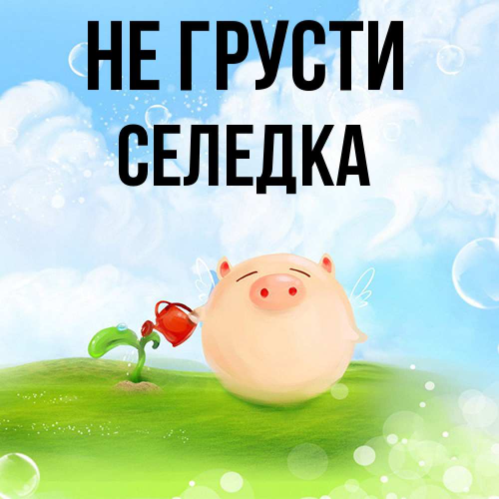 Открытка на каждый день с именем, Селедка Не грусти поливает цветок порося Прикольная открытка с пожеланием онлайн скачать бесплатно 