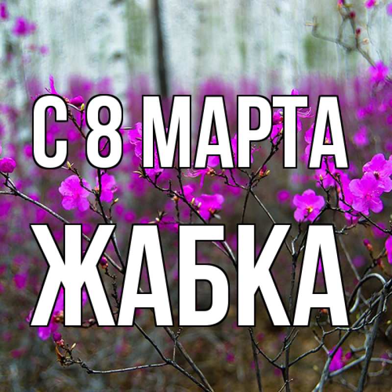 Картинка C 8 МАРТА, Жабка