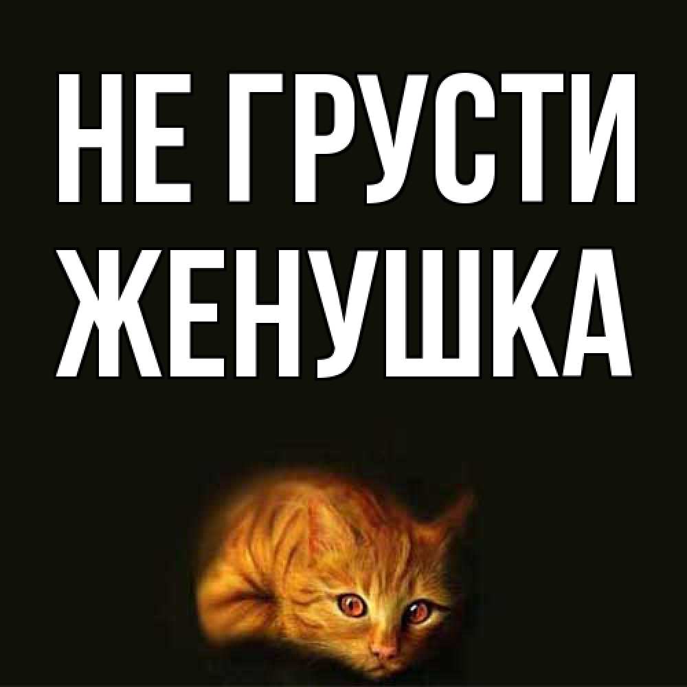 Открытка на каждый день с именем, женушка Не грусти лежащий кот в темноте Прикольная открытка с пожеланием онлайн скачать бесплатно 