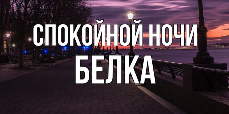 Картинка Спокойной ночи, Белка