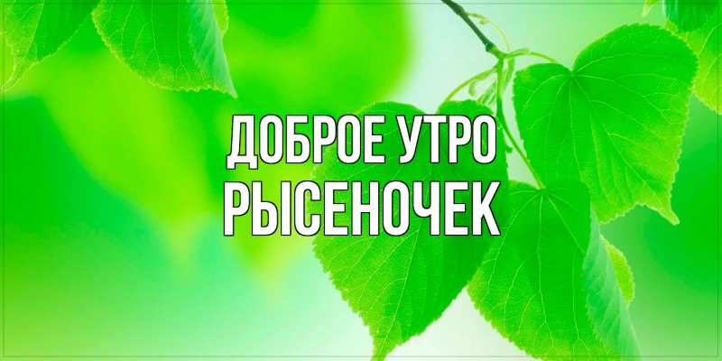 Картинка Доброе утро, Рысеночек