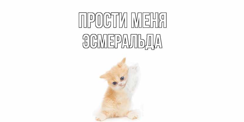 Картинка Прости меня, Эсмеральда