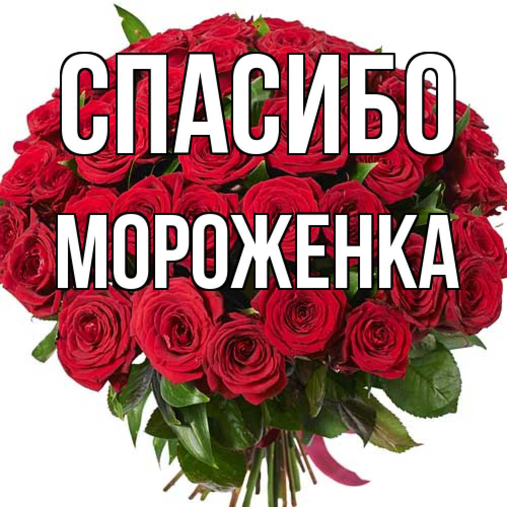 Открытка на каждый день с именем, Мороженка Спасибо букет красных роз Прикольная открытка с пожеланием онлайн скачать бесплатно 