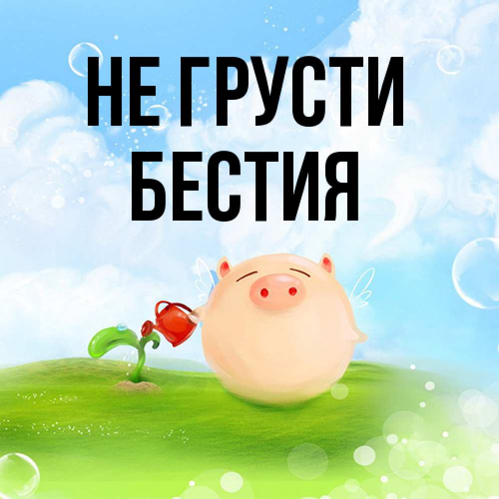 Открытка на каждый день с именем, Бестия Не грусти поливает цветок порося Прикольная открытка с пожеланием онлайн скачать бесплатно 