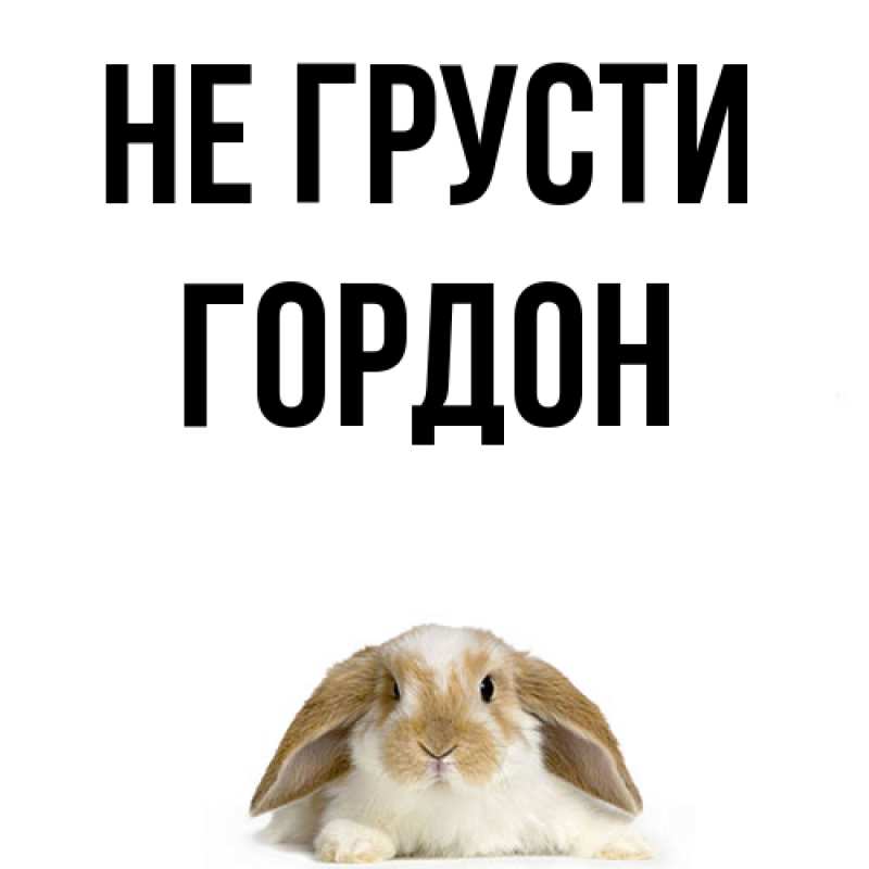 Картинка Не грусти, Гордон