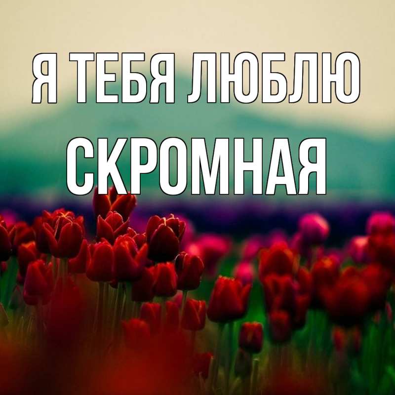 Картинка Я тебя люблю, скромная