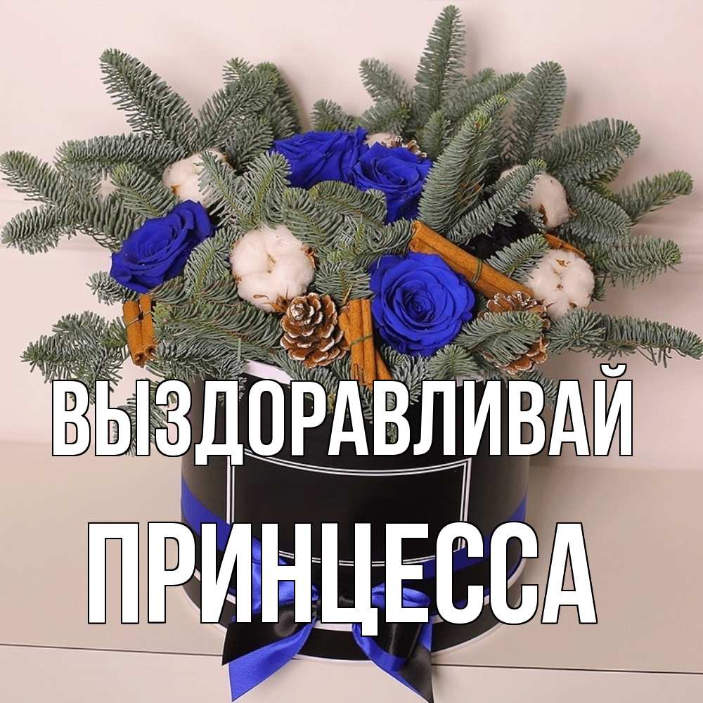 Открытка на каждый день с именем, Принцесса Выздоравливай короче кто то загрузил эти шишки Прикольная открытка с пожеланием онлайн скачать бесплатно 