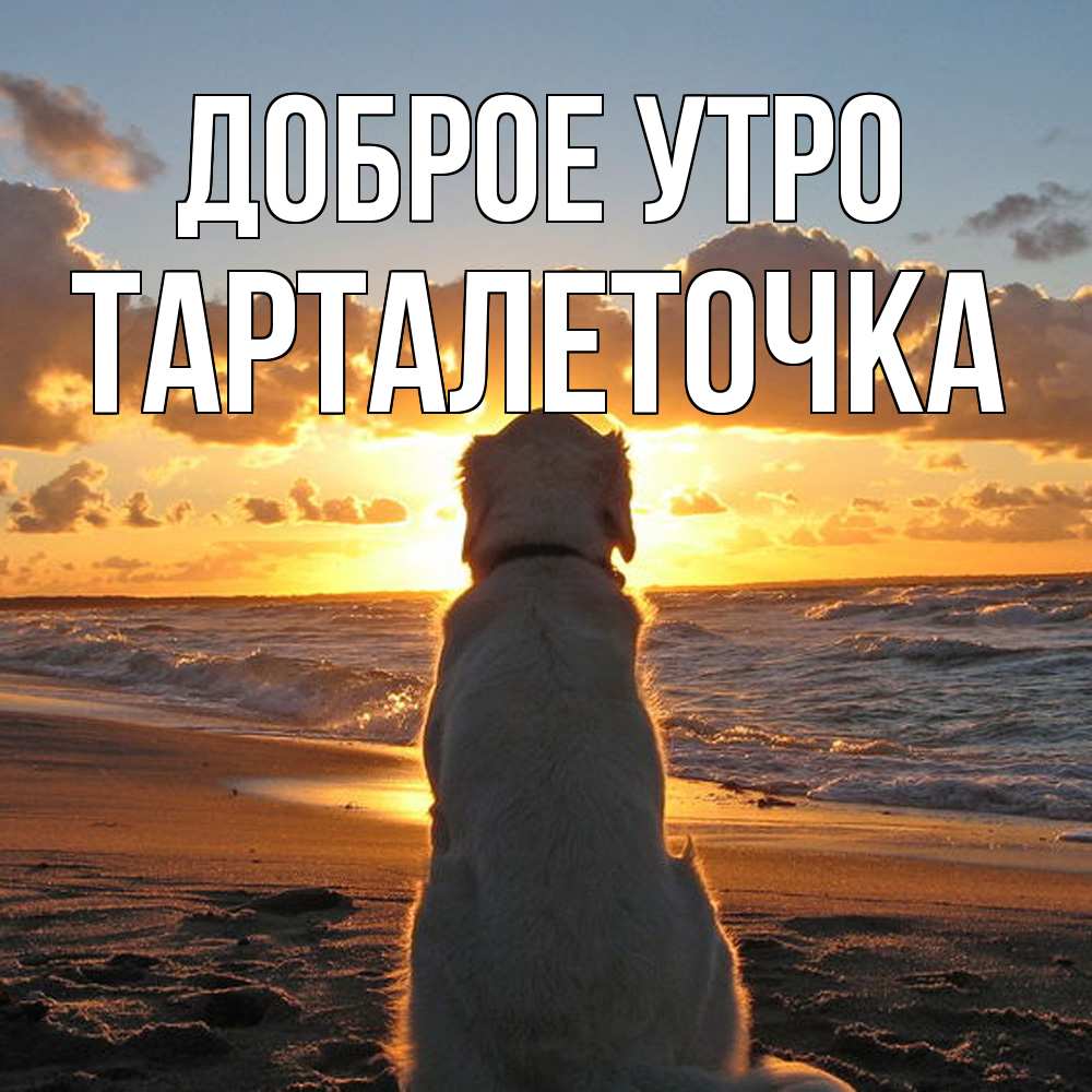 Открытка на каждый день с именем, Тарталеточка Доброе утро восход солнца Прикольная открытка с пожеланием онлайн скачать бесплатно 
