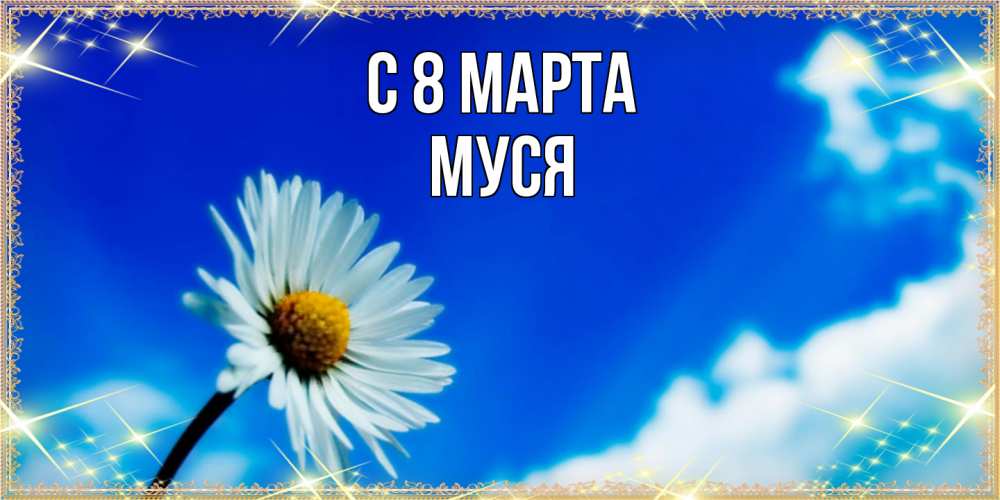 Открытка на каждый день с именем, Муся C 8 МАРТА красивая открытка в синих тонах Прикольная открытка с пожеланием онлайн скачать бесплатно 