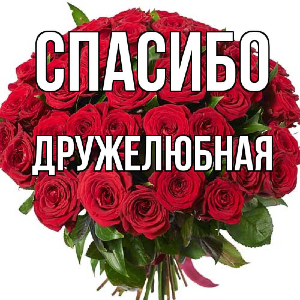 Открытка на каждый день с именем, Дружелюбная Спасибо букет красных роз Прикольная открытка с пожеланием онлайн скачать бесплатно 