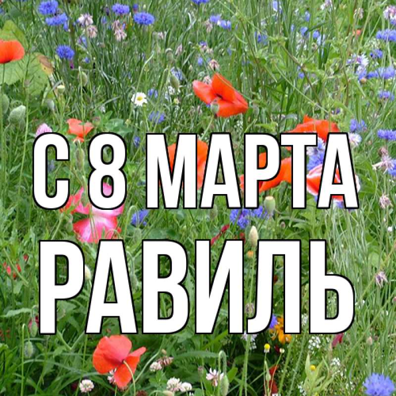 Картинка C 8 МАРТА, Равиль