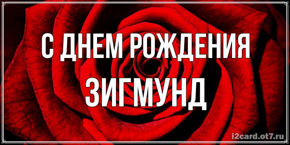 Открытка на каждый день с именем, Зигмунд С днем рождения алая роза Прикольная открытка с пожеланием онлайн скачать бесплатно 