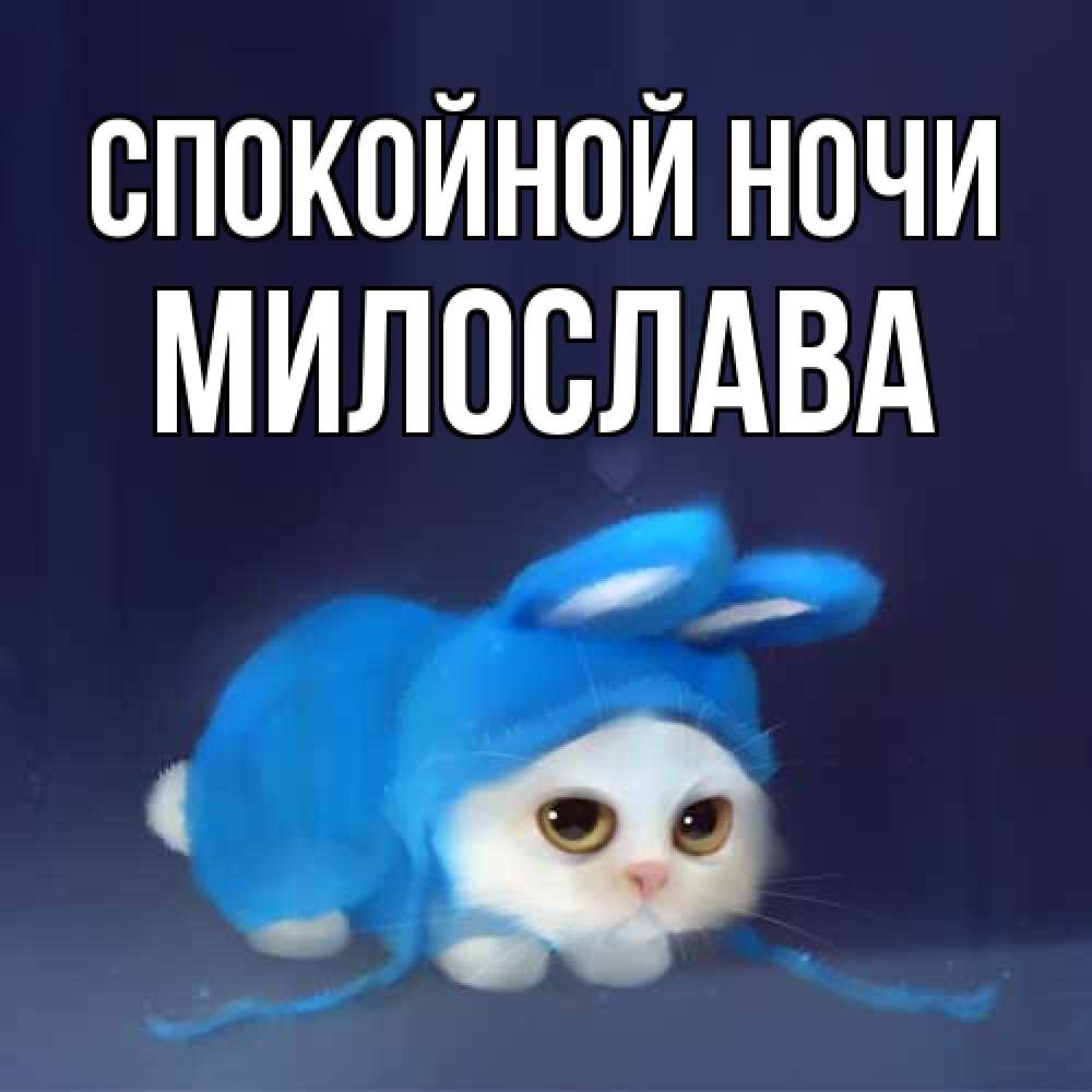 Открытка на каждый день с именем, Милослава Спокойной ночи кот в голубом костюме кролика с ушками Прикольная открытка с пожеланием онлайн скачать бесплатно 