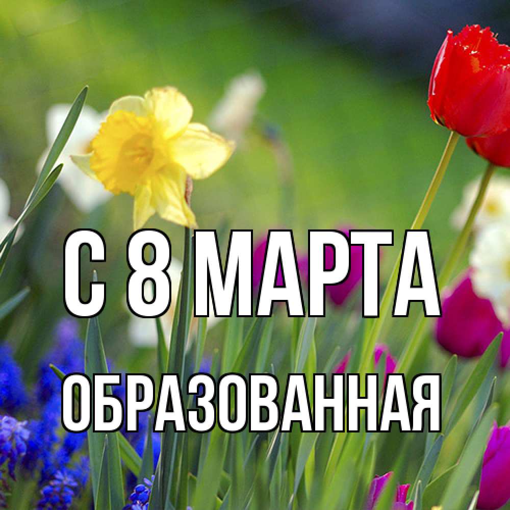 Открытка на каждый день с именем, Образованная C 8 МАРТА международный женский день 3 Прикольная открытка с пожеланием онлайн скачать бесплатно 