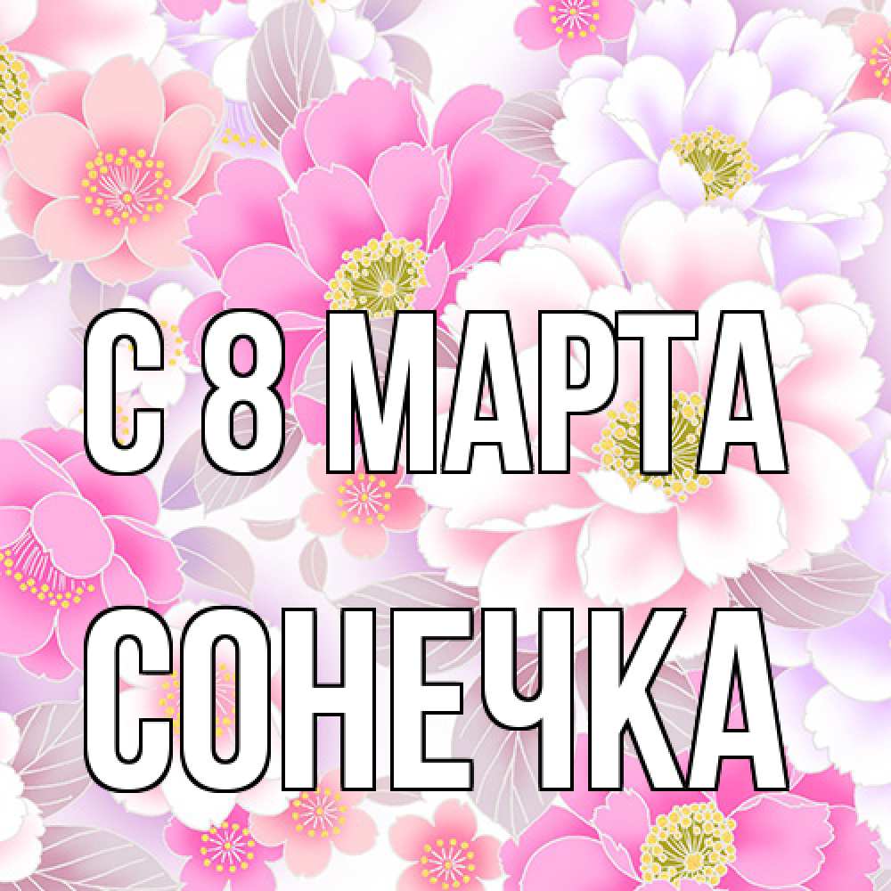 Открытка на каждый день с именем, Сонечка C 8 МАРТА для женщин Прикольная открытка с пожеланием онлайн скачать бесплатно 