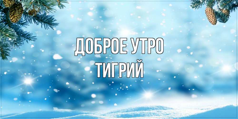 Открытка на каждый день с именем, Тигрий Доброе утро зимнее доброе утро Прикольная открытка с пожеланием онлайн скачать бесплатно 
