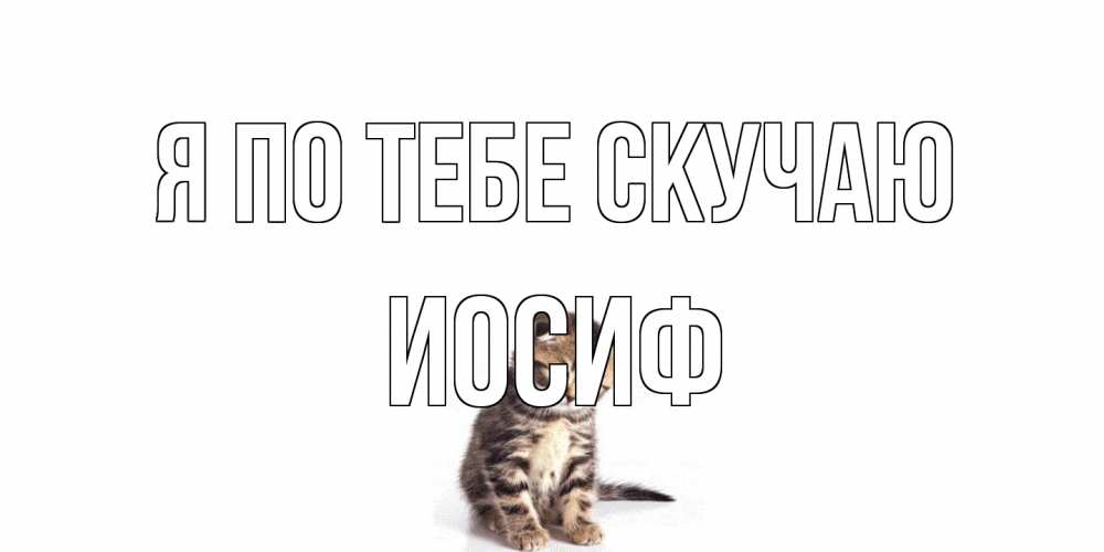 Открытка на каждый день с именем, Иосиф Я по тебе скучаю кот Прикольная открытка с пожеланием онлайн скачать бесплатно 
