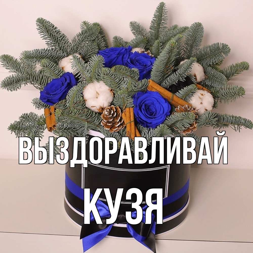 Открытка на каждый день с именем, Кузя Выздоравливай короче кто то загрузил эти шишки Прикольная открытка с пожеланием онлайн скачать бесплатно 