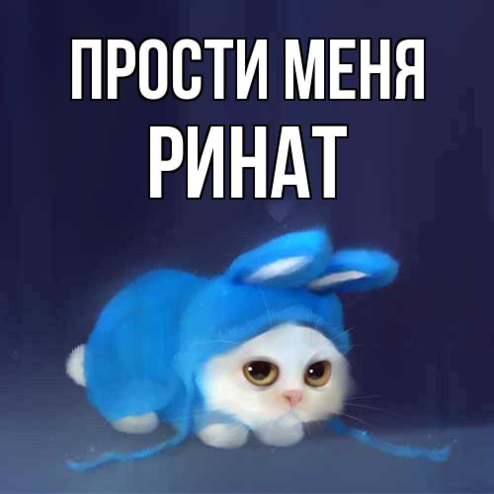 Открытка на каждый день с именем, Ринат Прости меня невинный котозай просит прощения Прикольная открытка с пожеланием онлайн скачать бесплатно 