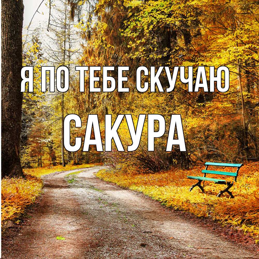 Открытка на каждый день с именем, Сакура Я по тебе скучаю зеленая лавочка и осенний лес Прикольная открытка с пожеланием онлайн скачать бесплатно 