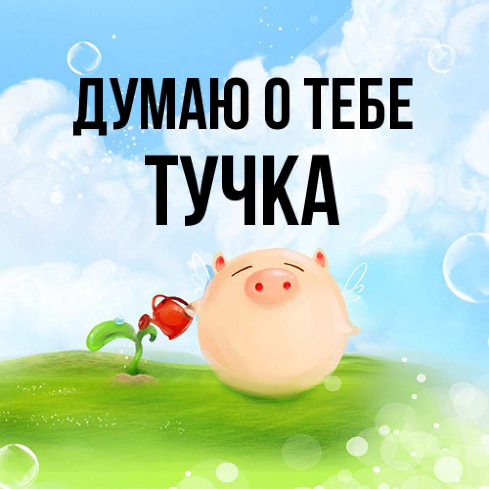 Открытка на каждый день с именем, Тучка Думаю о тебе позитивная свинюшка Прикольная открытка с пожеланием онлайн скачать бесплатно 