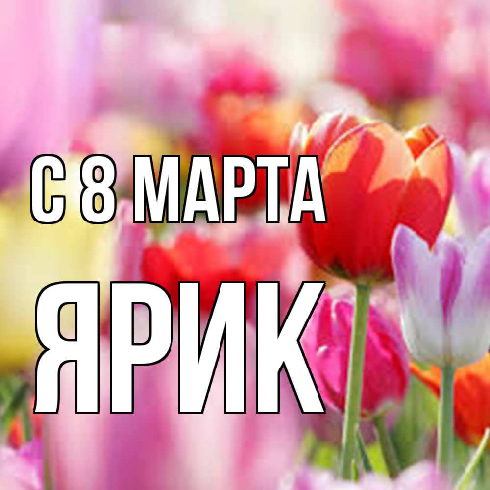 Открытка на каждый день с именем, Ярик C 8 МАРТА на международный женский день 2 Прикольная открытка с пожеланием онлайн скачать бесплатно 