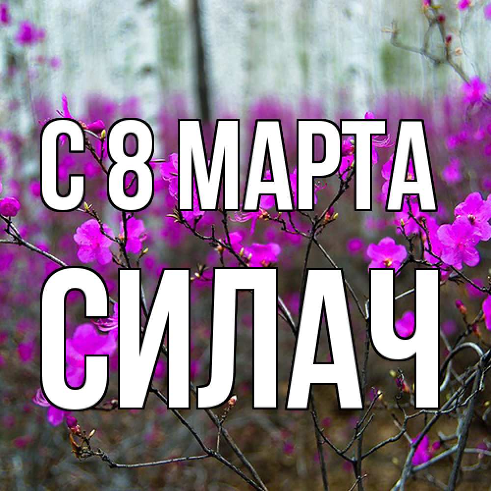 Открытка на каждый день с именем, силач C 8 МАРТА дикие цветы Прикольная открытка с пожеланием онлайн скачать бесплатно 