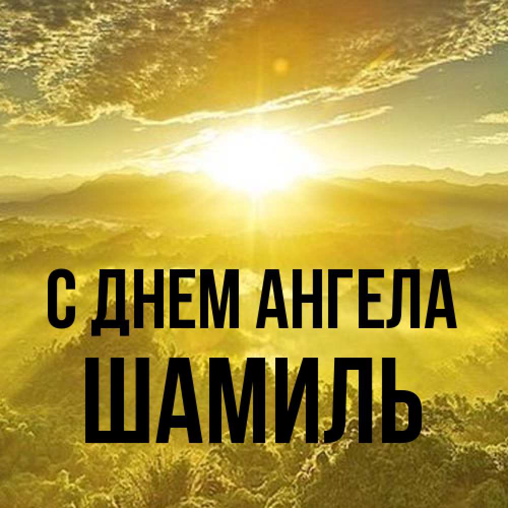 Открытка на каждый день с именем, Шамиль С днем ангела леса и небо в желтом Прикольная открытка с пожеланием онлайн скачать бесплатно 